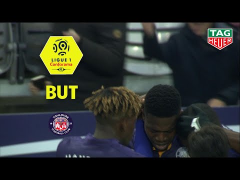 But Aaron LEYA ISEKA (77') / Toulouse FC - Dijon FCO (2-2)  (TFC-DFCO)/ 2018-19