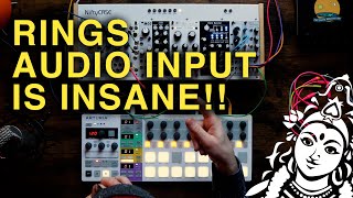 Video thumbnail for Mutable Instruments Rings is still one of the BEST modules!! PART 2 by The Unperson