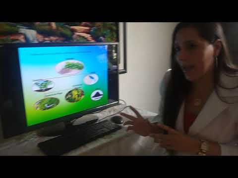 presentación Lisbeth Pinzón