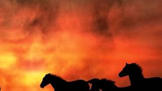 Wildfire - Michael Martin Murphey