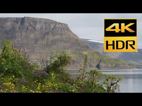 Iceland | Nature and Wildlife in 4K
