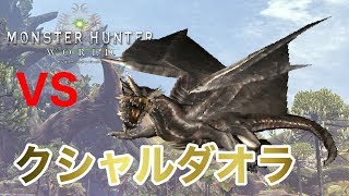 【MHW】クシャルダオラ初討伐　スラッシュアックス　ソロ【モンスターハンターワールド】