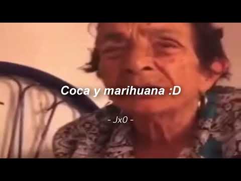 Sea turtles fell from the sky 😼// Lyrics