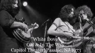 Old &amp; In The Way - White Dove  - live 1973