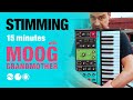 Stimming: 15 minutes with Moog Grandmother