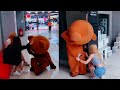 FUNNY BROWN BEAR REELS VIRAL FUNNY REELS TIKTOK REELS