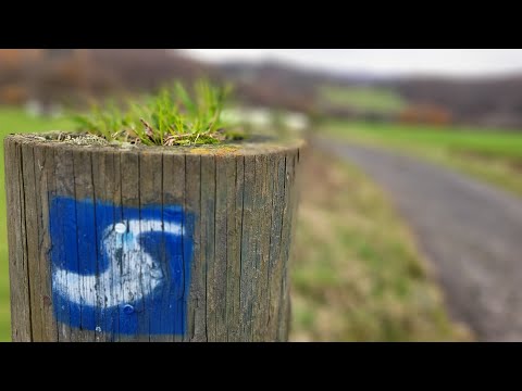 Wanderung Eitorf - Herchen über Natursteig Sieg | Etappe 5