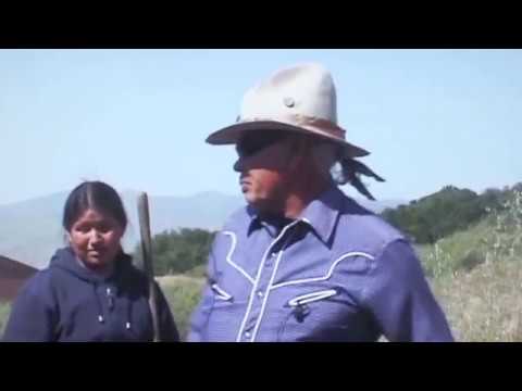 Tree Planting
