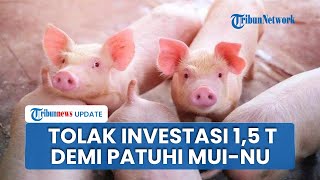 Jepara Tolak Investasi Peternakan Babi Senilai Rp1,5 T, Hindari Polemik soal Fatwa MUI dan NU