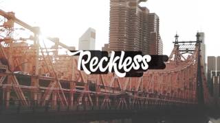 Disco Fries - Reckless video