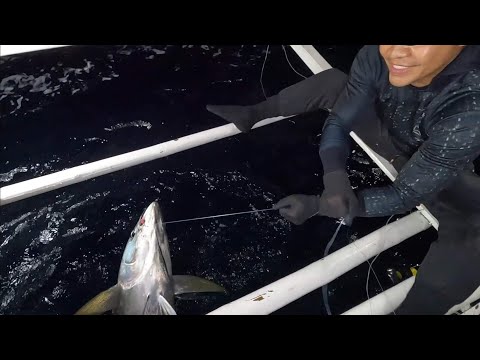 Tuna Series Teaser