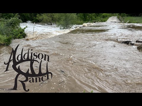 TORNADOES & FLOODING - I CAN'T FIND OUR CATTLE