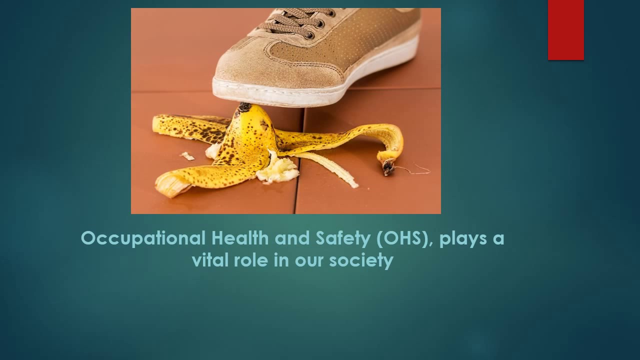 Everything you need to know about Occupational Health and Safety