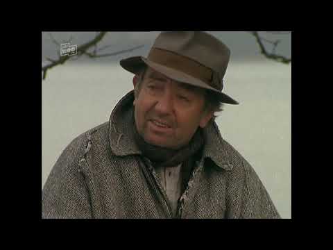 Der Landarzt - Brandstiftung S02E13