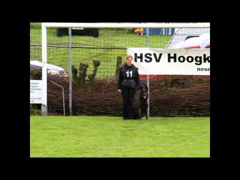 Worldchampionship Dutchsheperds 2014 Ilona Swagerman    Holland Kadanz v Le Dobry Protection