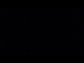Changos Incredibles Screams During The Night On Palenque Chiapas México