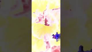 Part One: I’M A MAN (Live) by Chicago