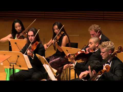 iPalpiti orchestra/Schmieder: Tchaikovsky: Souvenir de Florence, Op.70 - III. Allegretto moderato