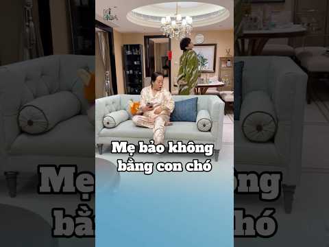Mẹ bảo không bằng con chó | Hi Hoa