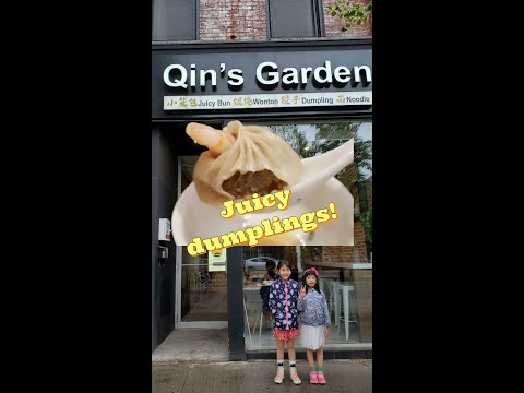 O melhor restaurante de Toronto Soup Dumpling. Assista ao teste de sorver para ver por si mesmo!