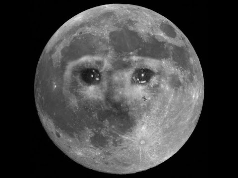 Schlund von Lorkhaj Veteran Errungenschaft Verbissener Reißzahn und Lunarphase (deutsch)