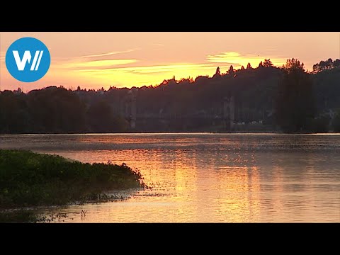 An den Ufern der Loire (360° - GEO Reportage)