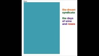 The Dream Syndicate   Holding on to you