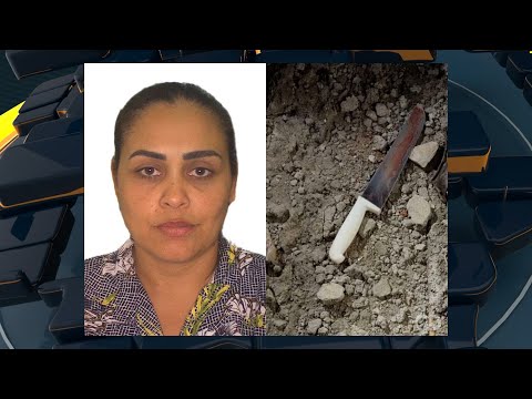 Mãe é assassinada na frente dos filhos, que reagem e esfaqueiam o agressor em Nova Lacerda