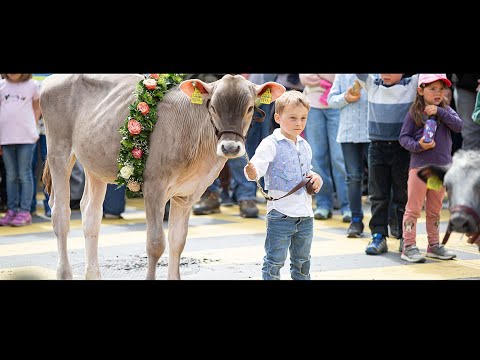 agrischa 2025 | Aftermovie