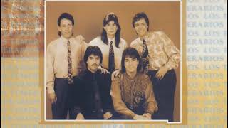 05. Hoy Que Regreso Contigo - Los Temerarios