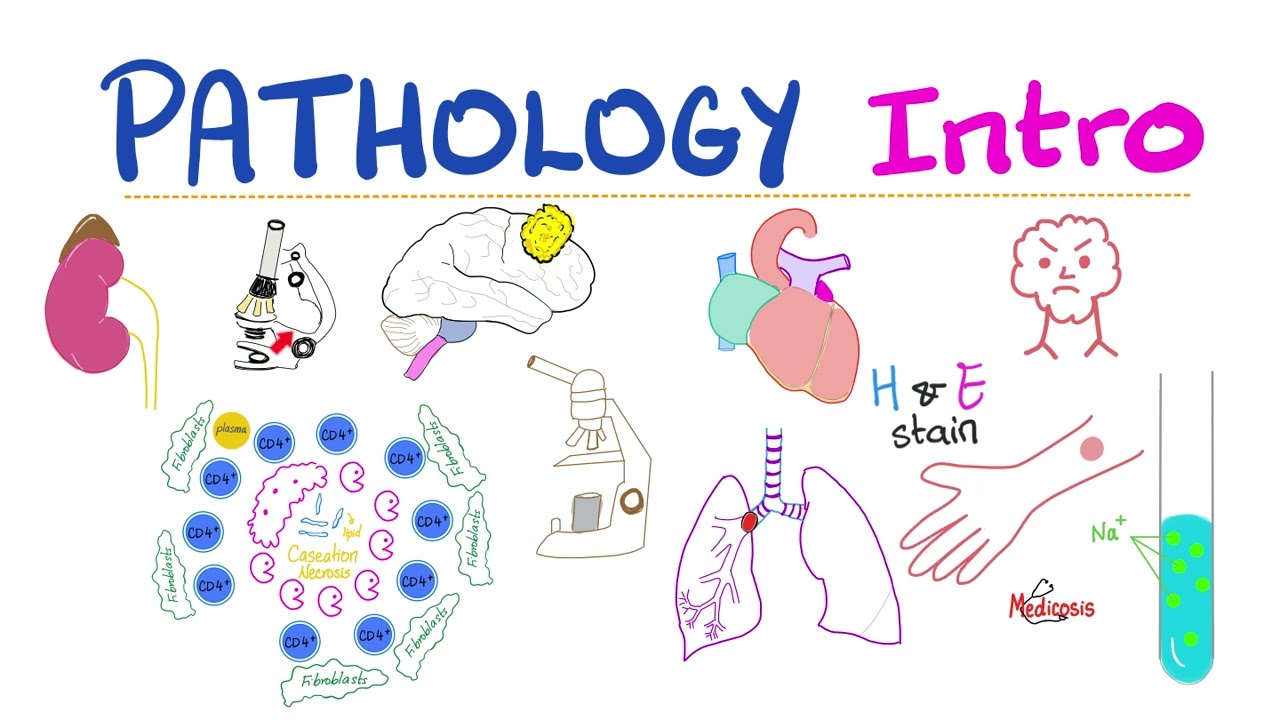 Pathology Intro - Biopsy, Autopsy, Specimen, Cell injury, Apoptosis, Necrosis, Inflammation, Hypoxia