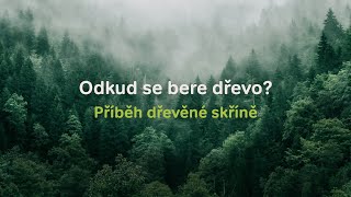 Odkud se bere dřevo
