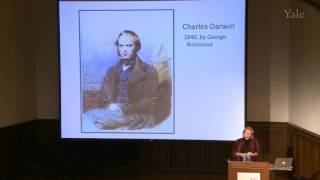 Becoming Darwin: History, Memory, and Biography, "Icon"
