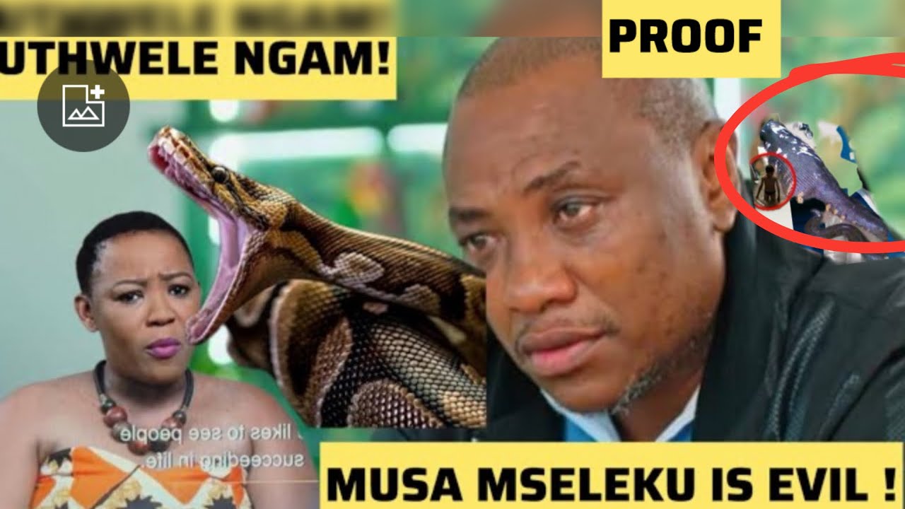 YouTube Thumbnail Downloader FULL HQ IMAGE