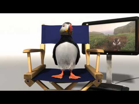 Periscope Studios Ltd video.