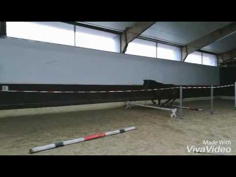 Freispringen ll 8.1.2017