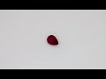 Ruby, drop cut, not heated, 0.46 ct Video 1