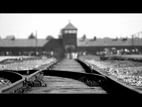 Holocaust Survivor Presentation