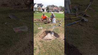 Download lagu Huge Rock in my Lawn mp3
