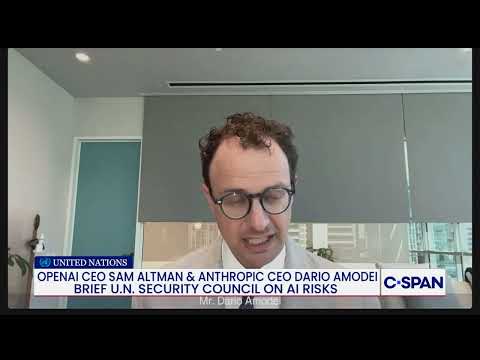 Anthropic CEO Amodei warns UN Security Council on AI risks