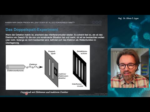 Freier Wille oder Vorherbestimmung? Ein quantenmechanischer Erklärungsansatz