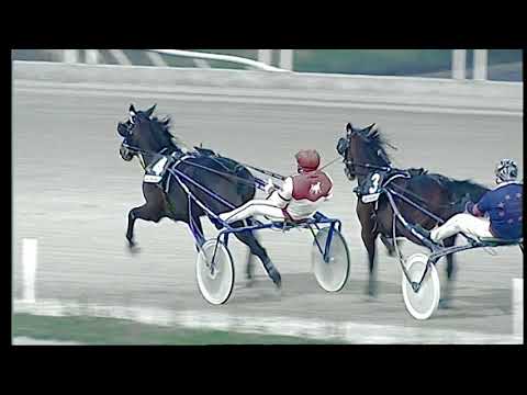 Trotto 11/12/2020 - 7ª corsa