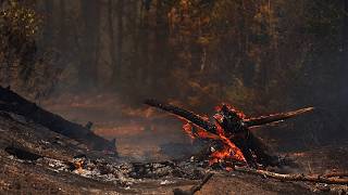 Miles de personas evacuadas mientras avanza un incendio forestal en el suroeste de Francia