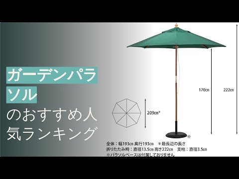 園芸 パラソル、セリ科の木、アンブレラツリー