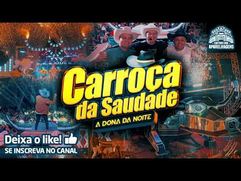 DJ NETO CORREA - CARROÇA DA SAUDADE NO PALÁCIO DOS BARES 20 01 2025