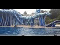 SeaWorld Orlando 10 21 2020 Part 1 DOLPHIN DAYS SHOW W False Start