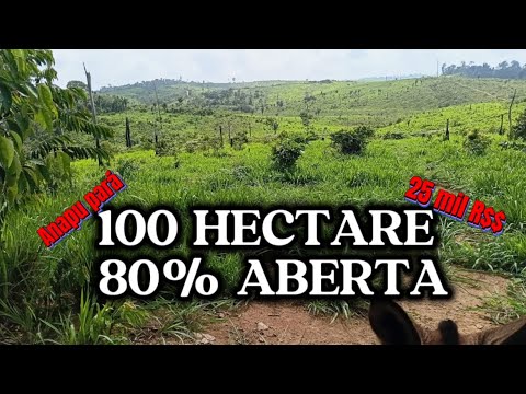 PREÇO CAIU 100 HECTARE POR 500 MIL 😱 REGIÃO DE ANAPU PÁ 😳