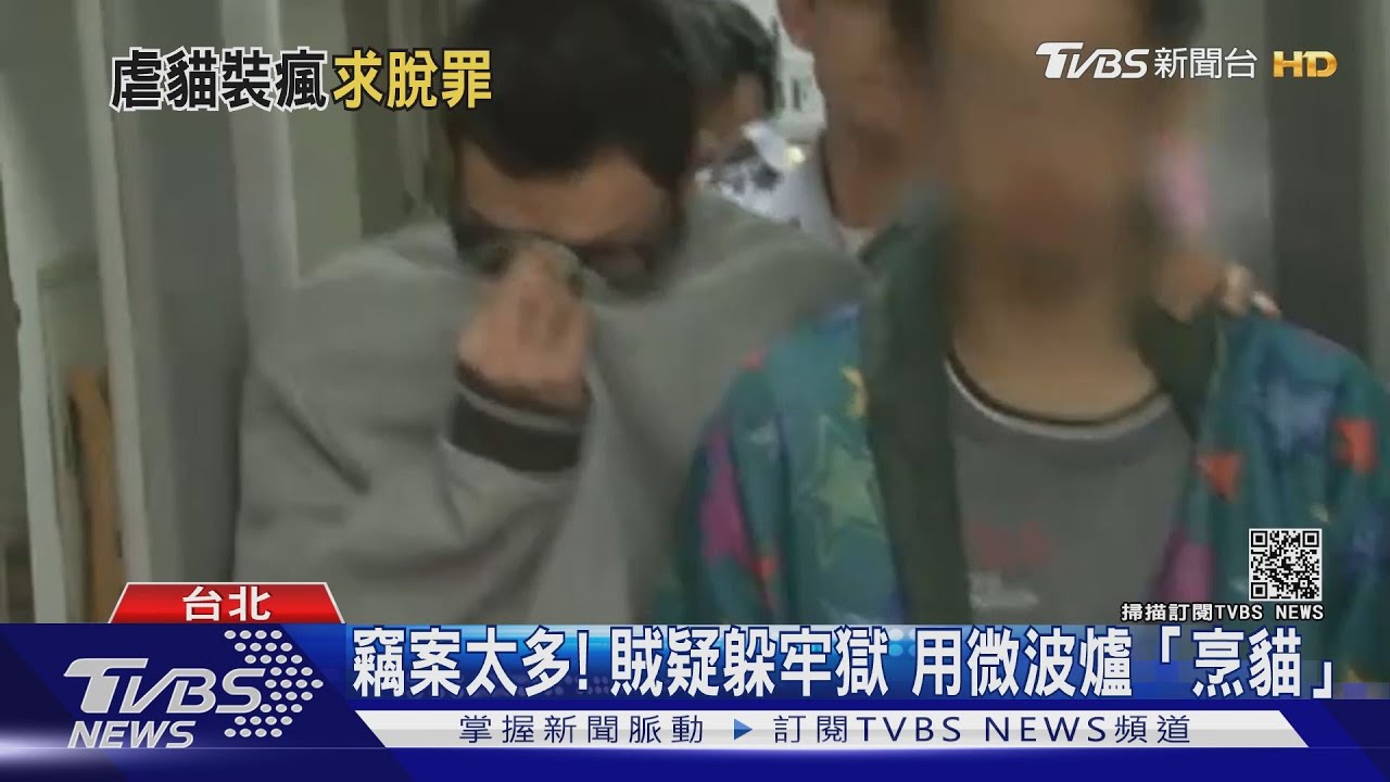 不想坐牢!慣竊為躲刑責 竟「虐貓」裝病