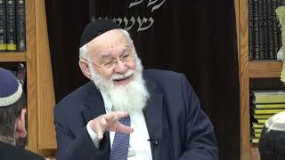 קביעת רגע המוות - הרב פרופ' אברהם שטינברג (ישיבת כרם ביבנה) - התמונה מוצגת ישירות מתוך אתר האינטרנט יוטיוב. זכויות היוצרים בתמונה שייכות ליוצרה. קישור קרדיט למקור התוכן נמצא בתוך דף הסרטון