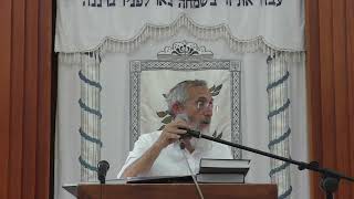 שיעור כללי - עיון | ממון יורשים ובכור לפני חלוקה | רה"י - הרב דוד פנדל (ישיבת אפיקי דעת שדרות) - התמונה מוצגת ישירות מתוך אתר האינטרנט יוטיוב. זכויות היוצרים בתמונה שייכות ליוצרה. קישור קרדיט למקור התוכן נמצא בתוך דף הסרטון שיעור כללי - עיון | ממון יורשים ובכור לפני חלוקה | רה"י - הרב דוד פנדל (ישיבת אפיקי דעת שדרות) - התמונה מוצגת ישירות מתוך אתר האינטרנט יוטיוב. זכויות היוצרים בתמונה שייכות ליוצרה. קישור קרדיט למקור התוכן נמצא בתוך דף הסרטון